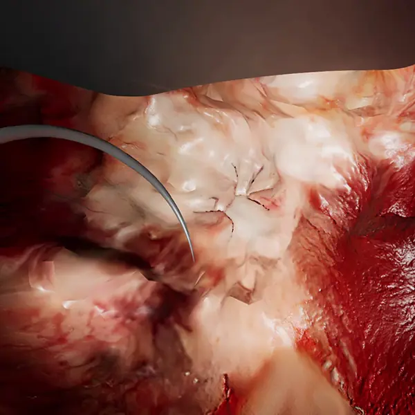 革新的な3D技術「SR3D」で、世界中の人々を幸せにするメタバースを創出