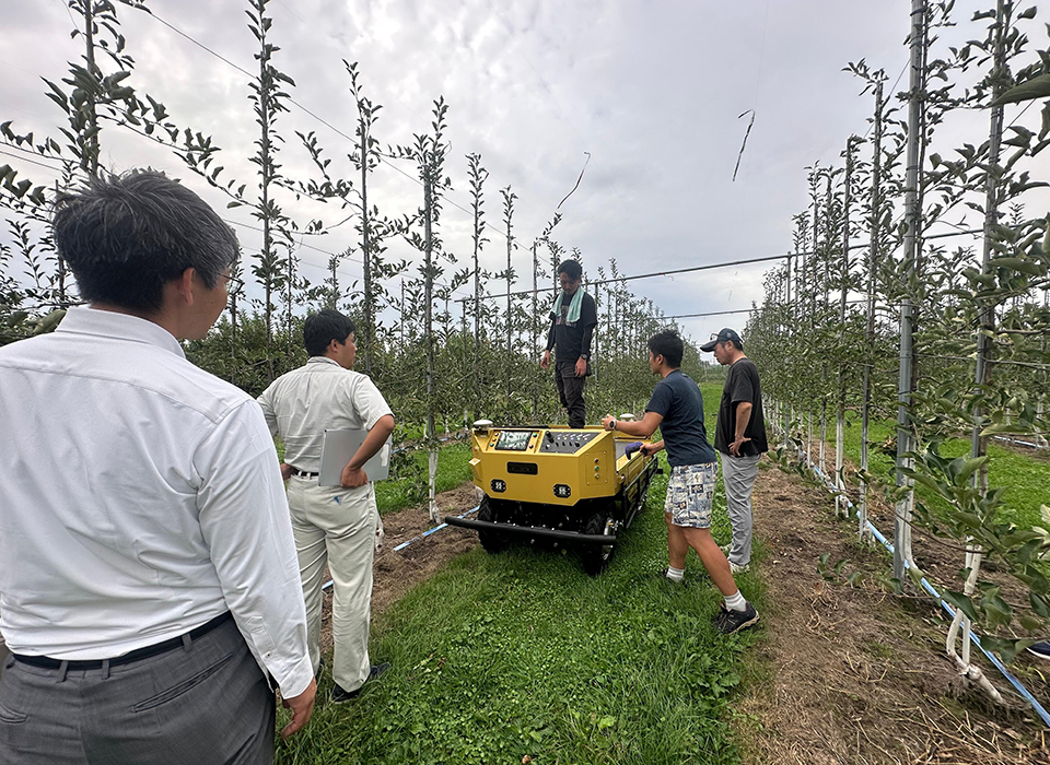 Adam demonstration in an apple orchard using high-density dwarf cultivation