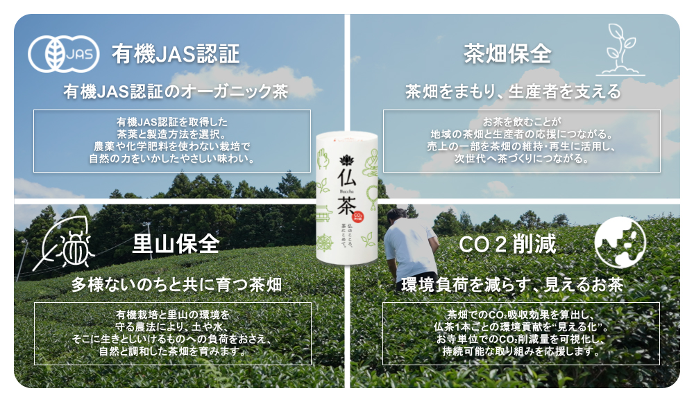 Buccha product design