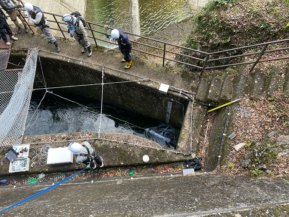 株式会社ハイドロヴィーナス