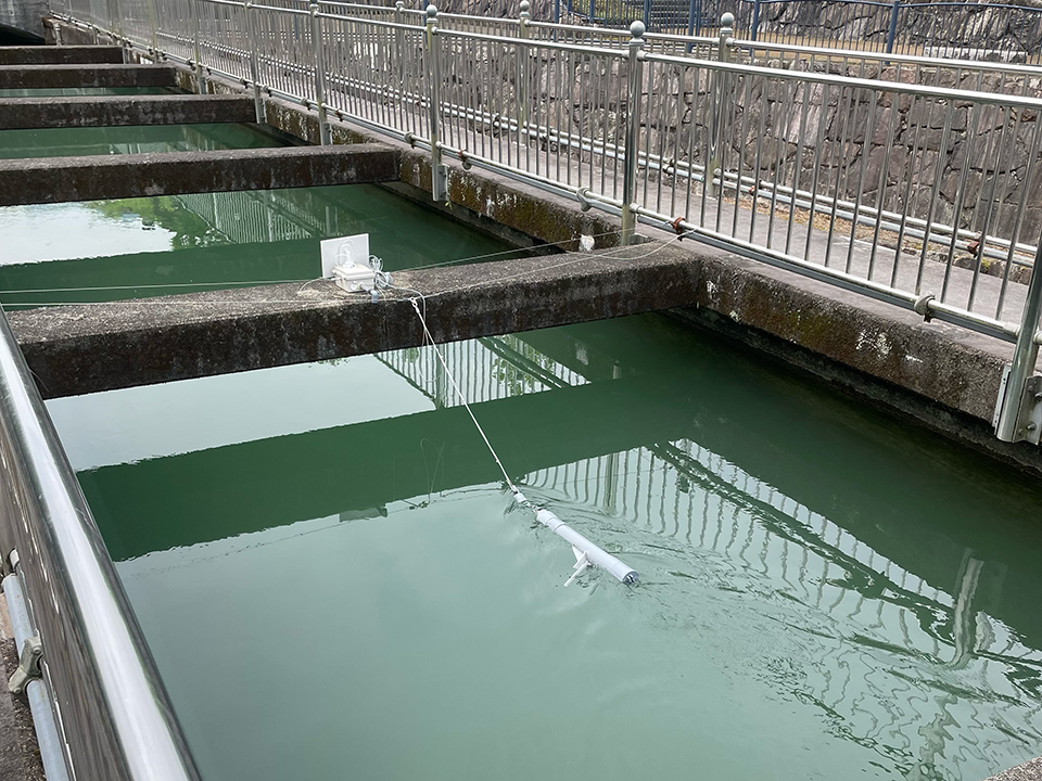 株式会社ハイドロヴィーナス