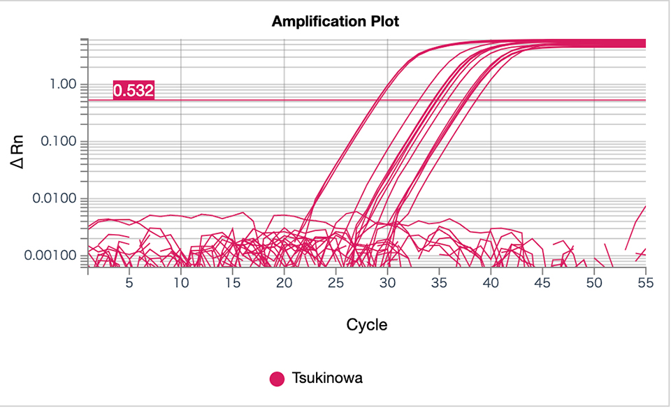 環境DNA分析結果
