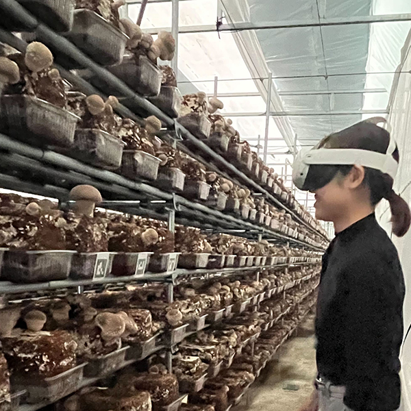 デジタルツイン技術で作物の品質均一化を目指すスマート農業ソリューション