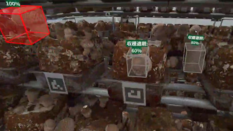 収穫適期判定を用いたシイタケの収穫ガイド