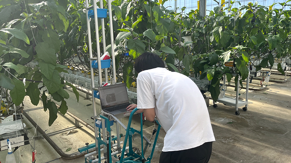 ナス農場での撮影の様子