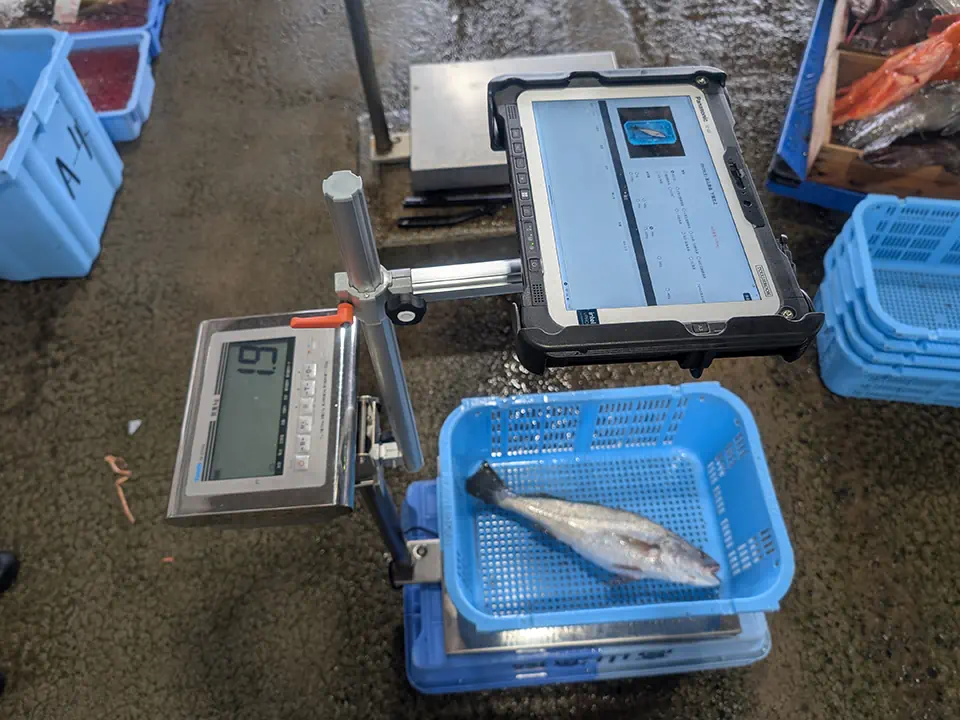 魚の価値を最大化し、地域を豊かに。AI計量システムで切り拓く水産業の未来