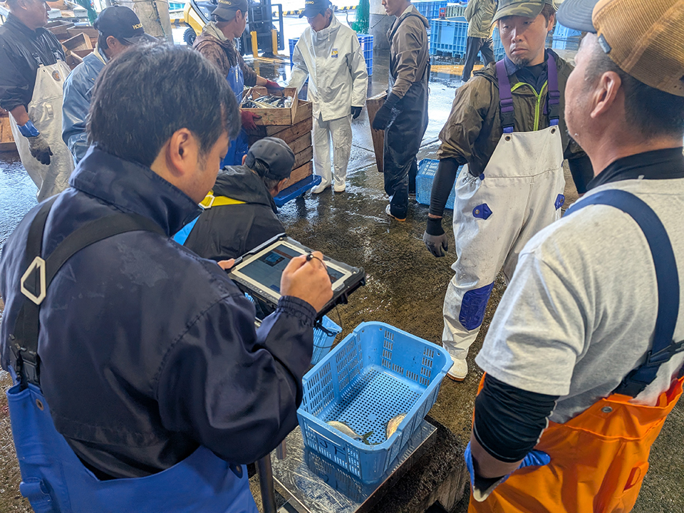 スマート計量システムを用いた水揚げ