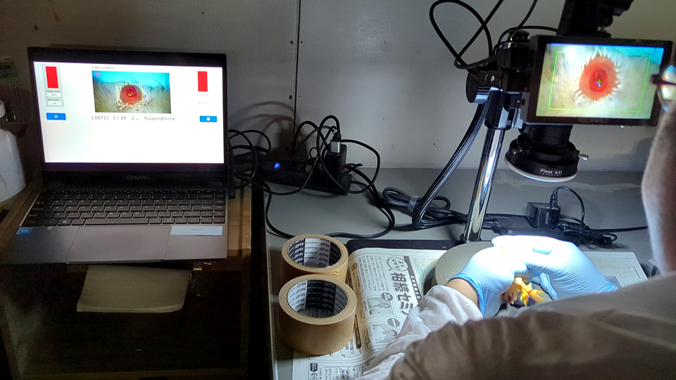 高知県畜産試験場での評価実験（2025年12月）