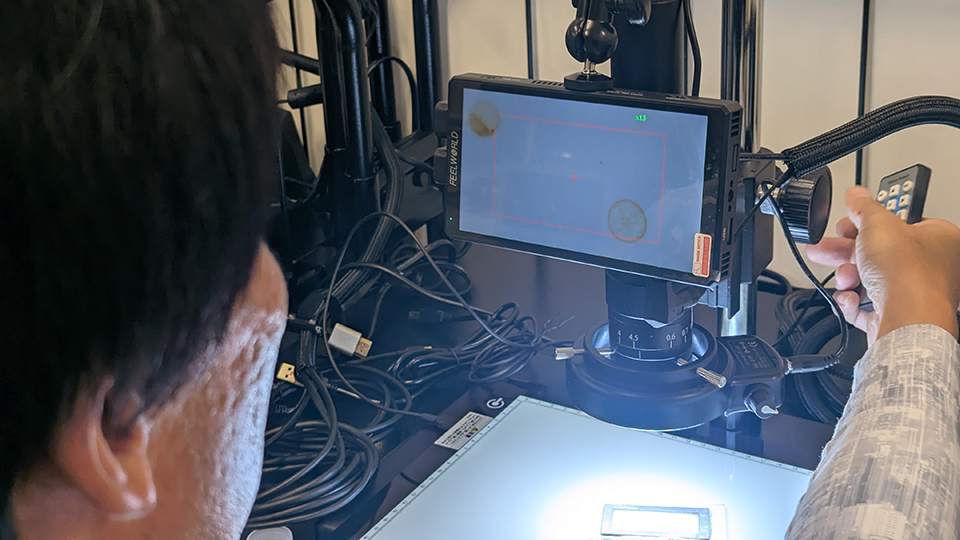 プランクトン検出