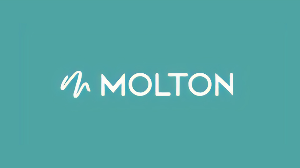 MOLTON Inc. Roll-Up M&A and Rebranding