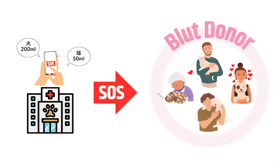 「Blut」のシステムイメージ