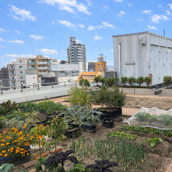プランティオ、ルミネ荻窪の屋上農園「ソラドファームルミネ」の運営を受託開始