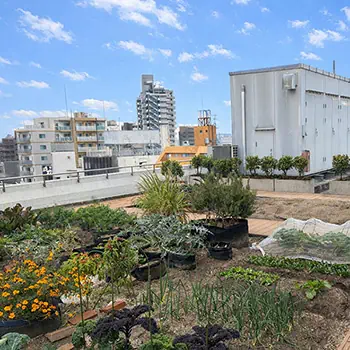 プランティオ、ルミネ荻窪の屋上農園「ソラドファームルミネ」の運営を受託開始