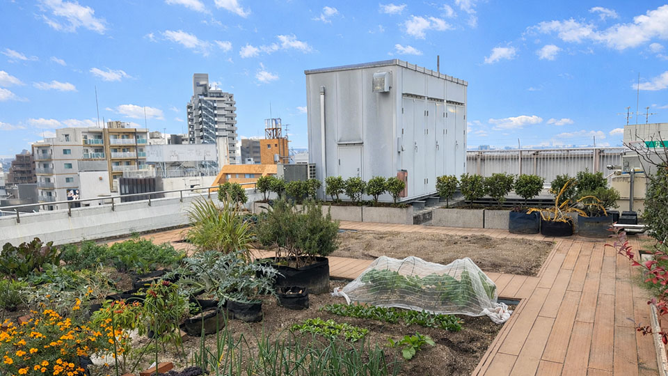 ソラドファームルミネ