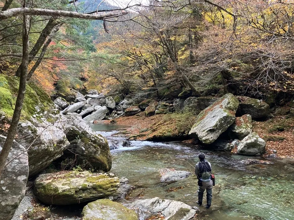 中野川指定管理釣場 FISH PASS導入