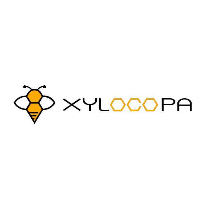 株式会社XYLOCOPAロゴ