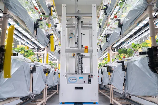 ICTを活用したイチゴの収穫量向上のためのIoT水耕栽培制御装置の研究開発