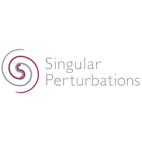 株式会社Singular Perturbations