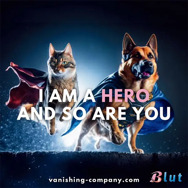 株式会社 Vanishing Company