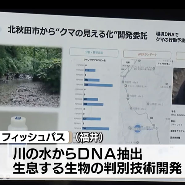 Fish Pass Inc., an ICT Startup League Selectee, Featured on Akita Broadcasting